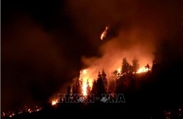 CH Cyprus đề nghị EU, Israel hỗ trợ khẩn cấp chống cháy rừng