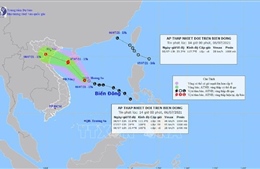 Hải Phòng, Thái Bình chủ động đối phó với áp thấp nhiệt đới