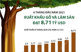 6 tháng đầu năm 2021, xuất khẩu gỗ và lâm sản đạt 8,71 tỷ USD