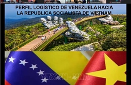 Thúc đẩy hợp tác kinh tế thương mại giữa Việt Nam và Venezuela