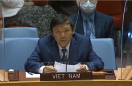 Việt Nam tham gia thúc đẩy bảo vệ nhân viên nhân đạo tại các điểm nóng xung đột