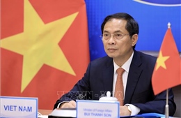 Nga sẵn sàng cung cấp, chuyển giao công nghệ sản xuất vaccine cho Việt Nam