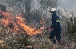 Cháy rừng và hỏa hoạn tại Hy Lạp, Thổ Nhĩ Kỳ và Liban