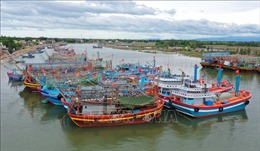 Quảng Trị lên phương án nạo vét khẩn cấp khu neo đậu tàu thuyền Cửa Việt