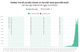 Thông tin về ca mắc COVID-19 tại Việt Nam qua mỗi ngày