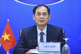 Khơi dậy tiềm năng của người Việt Nam ở nước ngoài, góp phần phát triển đất nước