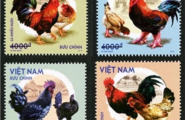 Giới thiệu 4 loại gà quý hiếm trong bộ tem &#39;Gà bản địa Việt Nam&#39;