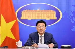 Thành lập Ban chỉ đạo về công tác bảo hộ công dân Việt Nam ở nước ngoài