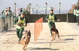 Giao lưu và trao đổi kinh nghiệm với Algeria về đào tạo và huấn luyện chó nghiệp vụ