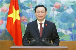 Quốc hội Việt Nam tiếp tục chung tay ứng phó với các thách thức toàn cầu