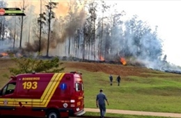 Tai nạn máy bay tại Brazil, 7 người thiệt mạng