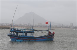 Bình Thuận ngăn chặn triệt để khai thác hải sản trái phép