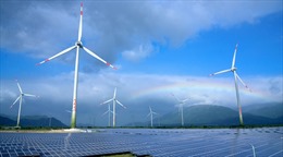 Đẩy nhanh phát triển năng lượng tái tạo trong Quy hoạch Điện VIII 