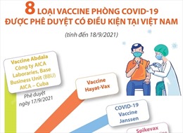 8 loại vaccine phòng COVID-19 được phê duyệt có điều kiện tại Việt Nam