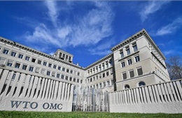EU kêu gọi Mỹ hợp tác cải tổ WTO