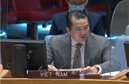 Việt Nam hoan nghênh chính phủ Syria và phe đối lập nhất trí nối lại đàm phán