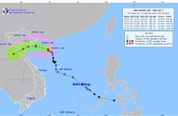 Hà Nam: Chủ động ứng phó với bão số 7 và mưa lũ