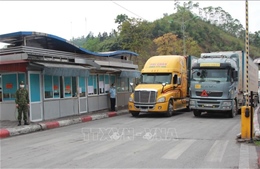 Khuyến cáo doanh nghiệp khắc phục ùn ứ hàng hóa tại các cửa khẩu Lạng Sơn