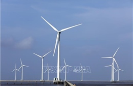 EVN tạo thuận lợi cho các nhà máy điện gió kịp công nhận vận hành thương mại