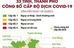 33 tỉnh, thành phố công bố cấp độ dịch COVID-19