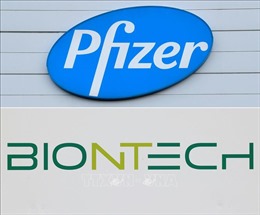 EMA phê duyệt thêm cơ sở sản xuất và công thức mới cho vaccine của Pfizer/BioNTech