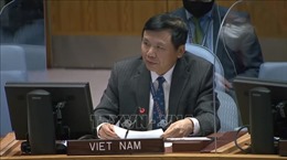 Việt Nam kêu gọi Israel-Palestine mở đường cho phục hồi tiến trình hòa bình