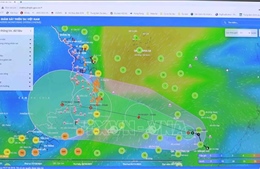 Khánh Hòa ngưng các hoạt động trên biển từ 18 giờ ngày 25/10