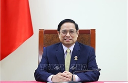 Thủ tướng Phạm Minh Chính làm việc với lãnh đạo Tập đoàn AstraZeneca 