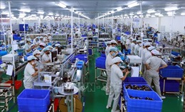 Việt Nam trong nỗ lực chung của Đông Nam Á khôi phục sản xuất