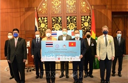 Việt Nam ghi nhận sự hỗ trợ của các tổ chức và doanh nghiệp Thái Lan trong đại dịch COVID-19 