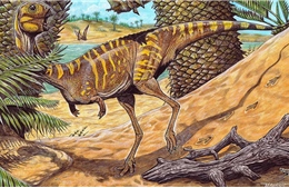 Phát hiện hóa thạch của loài khủng long &#39;rất hiếm&#39; ở Brazil