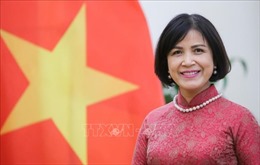 Đại sứ Lê Thị Tuyết Mai: WEF 2024 - Cơ hội để Việt Nam chia sẻ tầm nhìn với thế giới