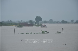 Gia Lai kịp thời hỗ trợ, di dời người dân vùng ngập lụt 