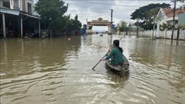 Mưa lũ tại Bình Định gây thiệt hại 219 tỷ đồng