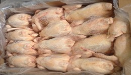 EU cảnh báo thu hồi thịt gà của Ba Lan tiêu thụ tại Việt Nam