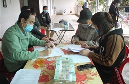 Quỹ Hỗ trợ nông dân - đòn bẩy giúp nông dân Ninh Bình vượt khó