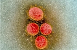Giới nghiên cứu: Thế giới có thể chậm trễ trong phát hiện các biến thể mới của virus SARS-CoV-2