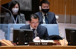 Việt Nam đề cao xây dựng lòng tin trong giải quyết vấn đề vũ khí hoá học tại Syria