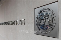 IMF thông báo rút khỏi Brazil