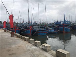 Bình Thuận: Giải tỏa lệnh cấm, tàu thuyền được phép ra khơi trở lại