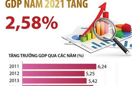 GDP năm 2021 tăng 2,58%