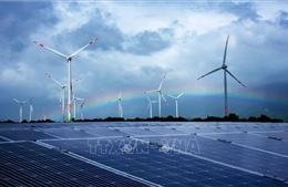 Hoàn thiện cơ chế đấu thầu phát triển bền vững thị trường điện năng lượng tái tạo