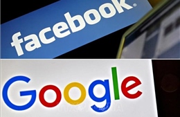Tòa án Mỹ: Google, Facebook đã cấu kết để thống lĩnh thị trường quảng cáo