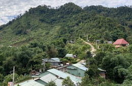 Sinh kế bền vững cho đồng bào vùng sạt lở núi ở Quảng Nam