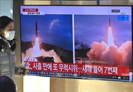 Hàn Quốc, Mỹ, Nhật Bản nhất trí duy trì hợp tác sau vụ phóng của Triều Tiên