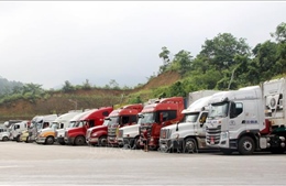 Lạng Sơn tạm dừng tiếp nhận phương tiện chở hoa quả tươi xuất khẩu