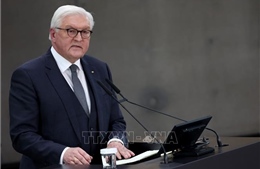 Tổng thống Đức kêu gọi đoàn kết trong bài phát biểu về &#39;tình trạng quốc gia&#39;