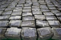 Ecuador thu giữ gần 7 tấn cocaine chuẩn bị được đưa sang Bỉ