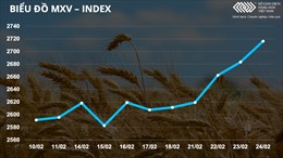 Bản tin MXV 25/2: Thị trường hàng hóa biến động mạnh giữa căng thẳng Nga - Ukraine