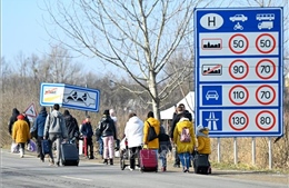 Nhiều nước Mỹ Latinh đã sơ tán công dân khỏi Ukraine